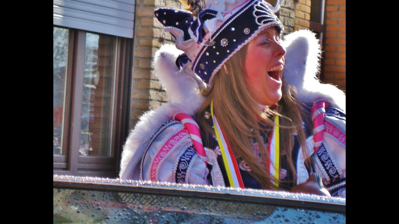 Aalst Carnaval 2012 - Film 84e stoet