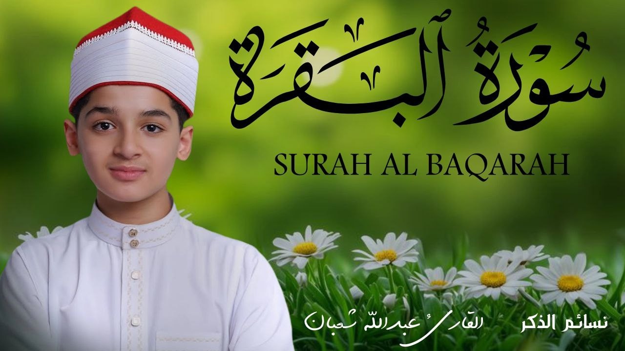 سورة البقرة كاملة || لطرد الشياطين وتحصين المنزل || الطفل القارئ عبدالله شعبان ||  Surat Al Baqarah