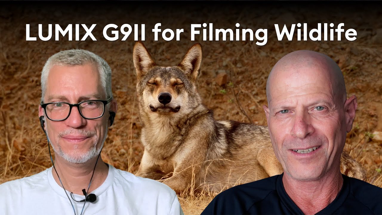 LUMIX G9 II Goes to India - How To Make A Wildlife Documentary