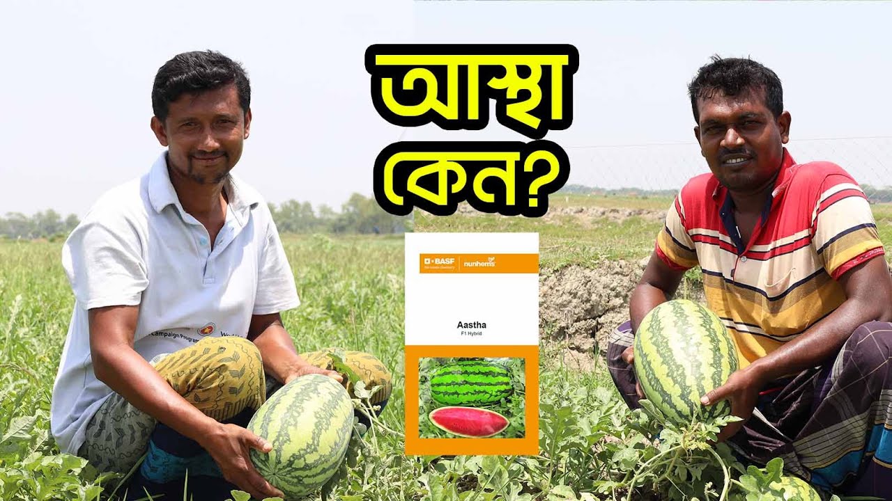 আস্থাতেই কেন কৃষকের আস্থা?