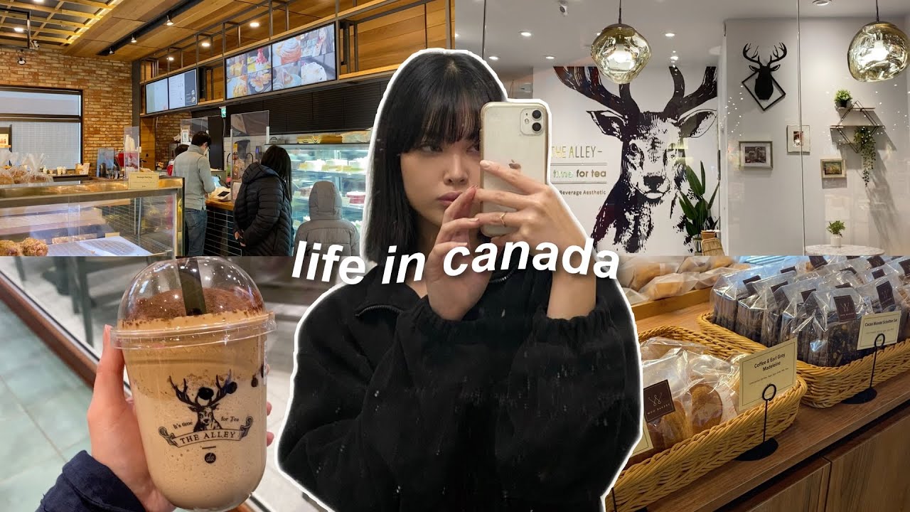 daily vlog | bakery & cafe, studying, bubble tea, bts videos and lives lol
