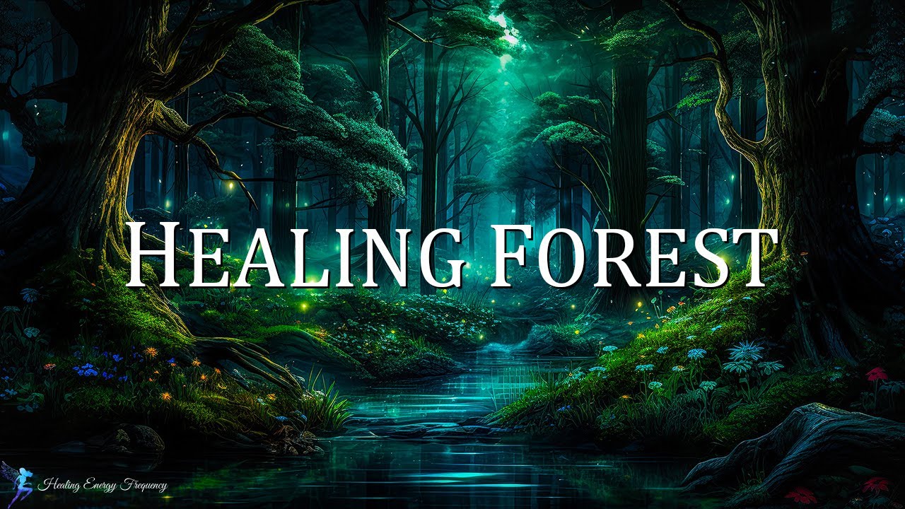Healing Forest Ambience | 528Hz + 741Hz + 396Hz - Miracle Tone Healing | Energy Cleansing Meditat...