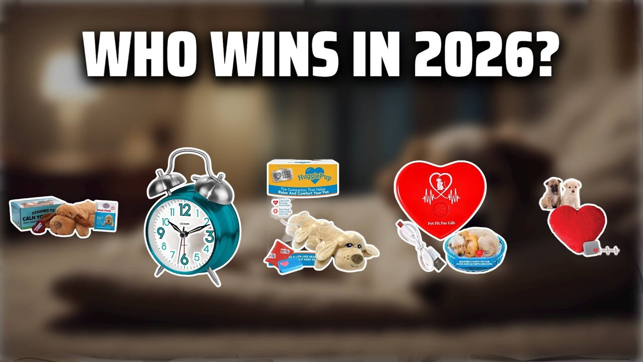 The Top 5 Best Ticking Clock in 2026 - Must Watch Before Buying!
