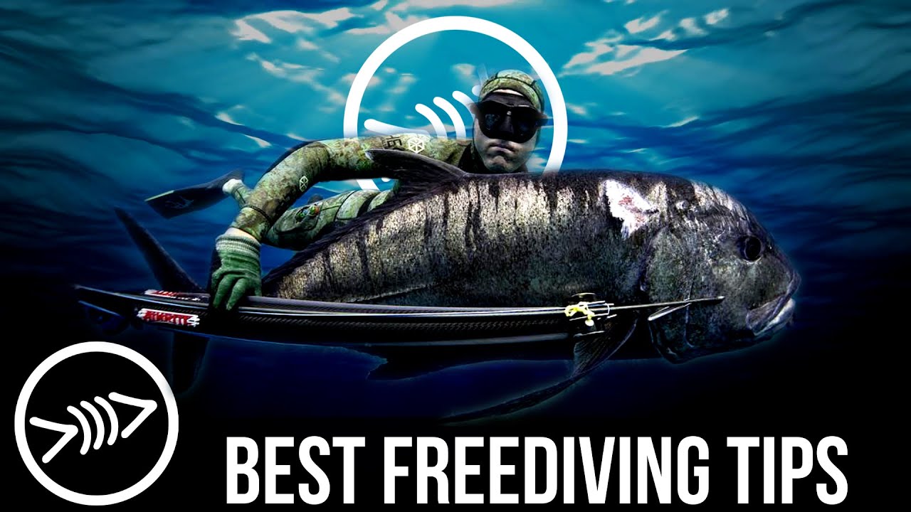 Best Freediving Tips w Ryan - Florida Freedivers