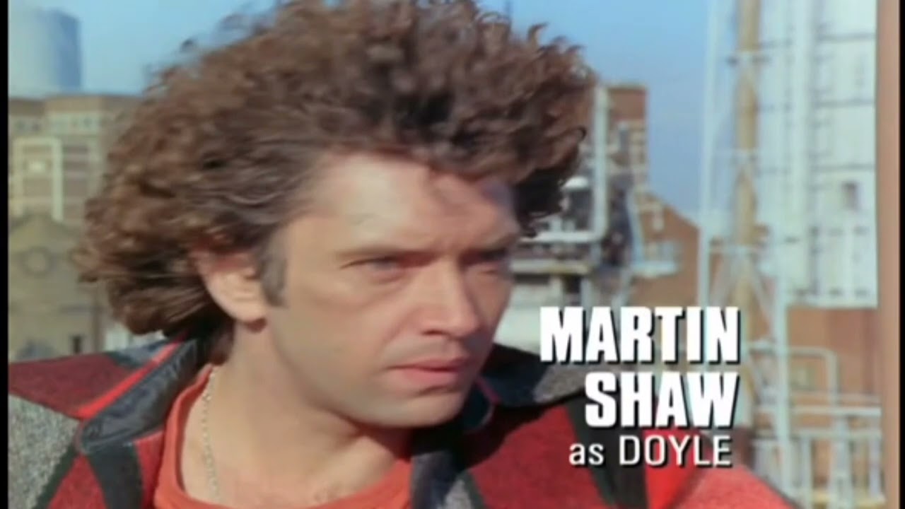 The Professionals Alternative Theme