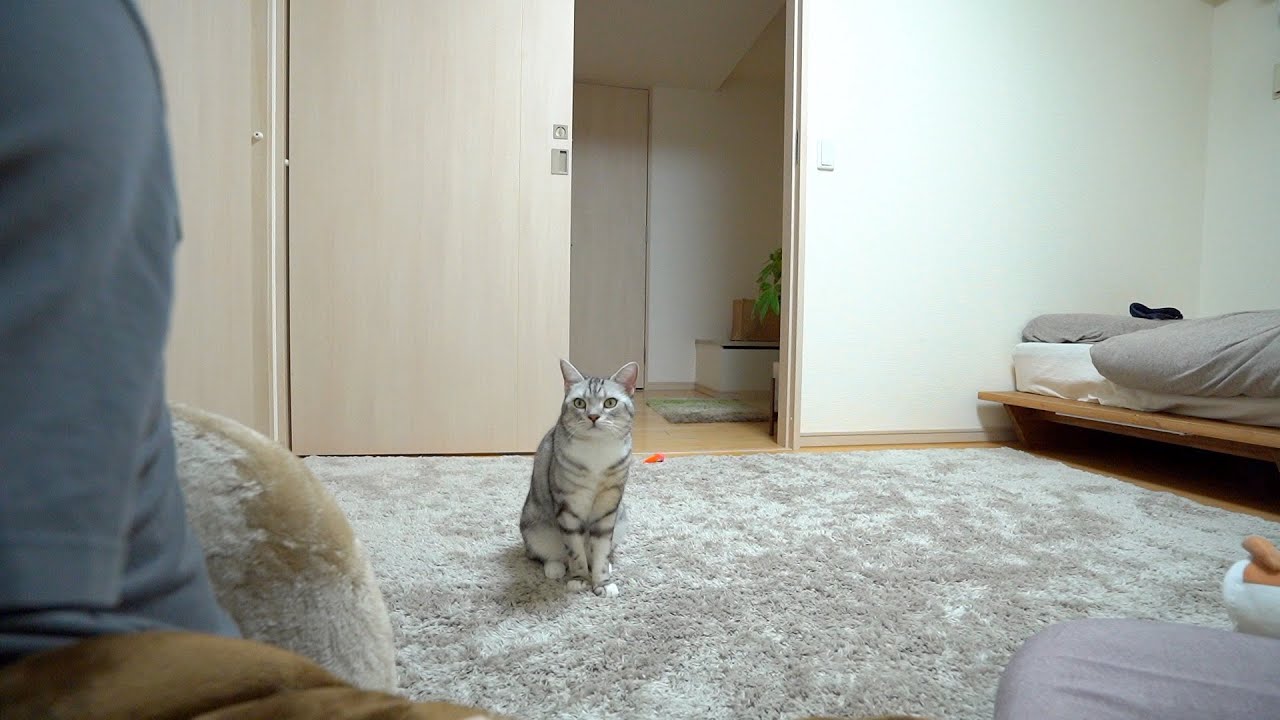 背後に気配を感じたので隠し撮りしてみると・・・w