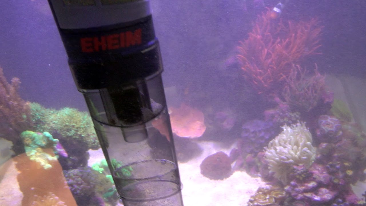 User Review: EHEIM Quick Vac Pro - Vaccum your sand bed?