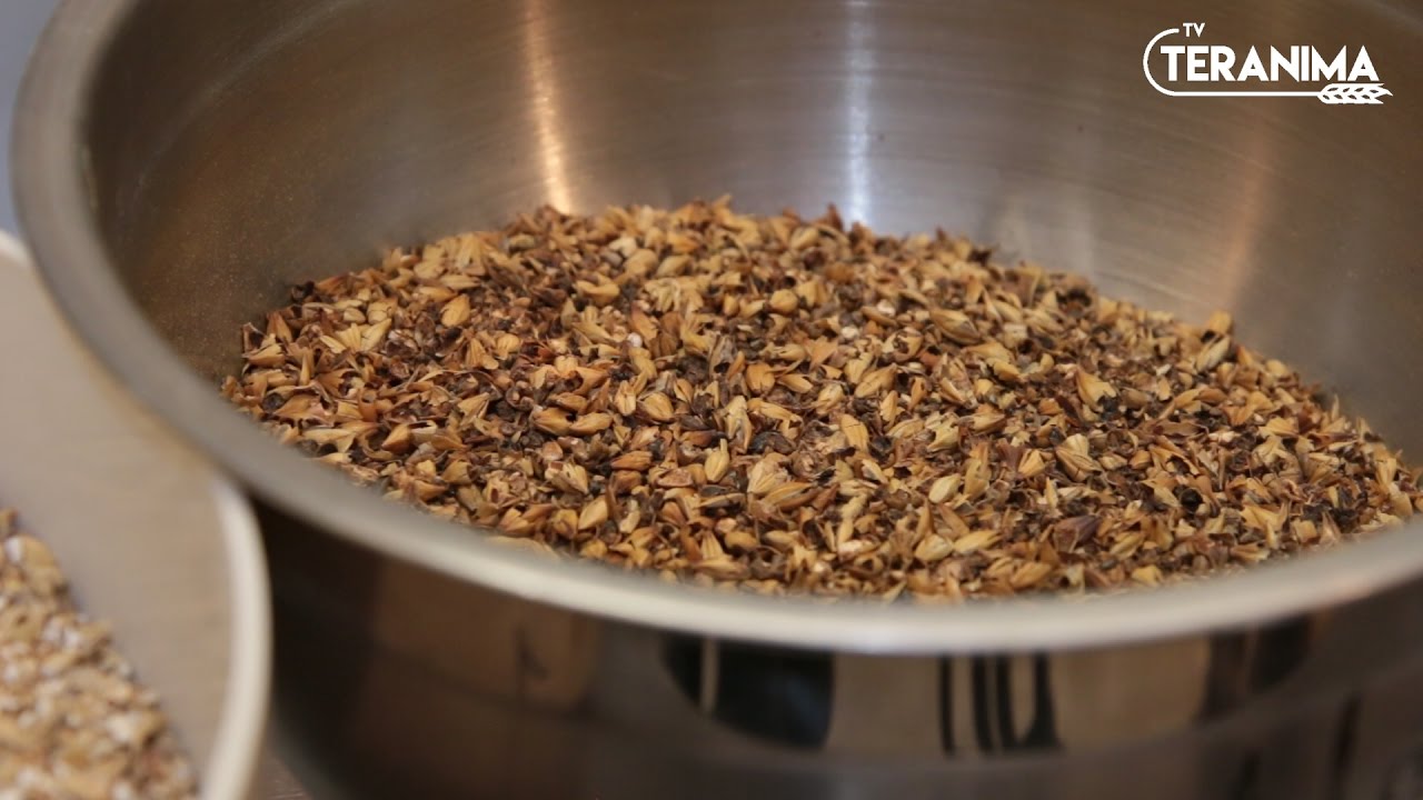 L'orge brassicole, une matière première complexe