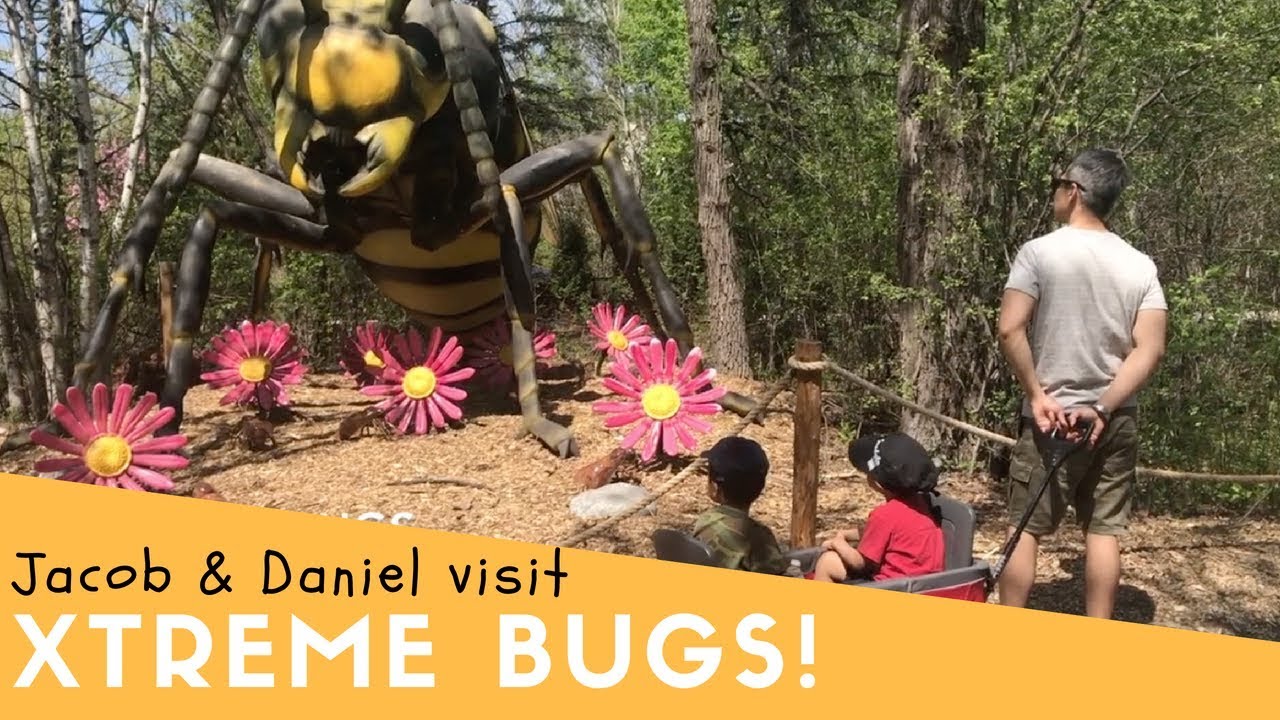 Larger than Life Animatronic Bugs at the Assiniboine Zoo in Winnipeg (Xtreme Bugs)