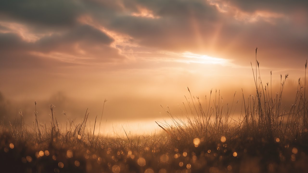 Dawn's Gentle Embrace 🌅 Peaceful Morning Ambient for Sleep & Meditation | Somora