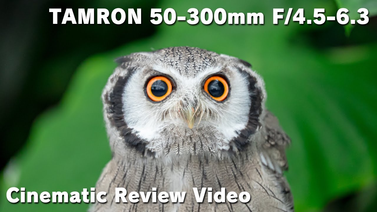 TAMRON 50-300mm F4.5-6.3 / Cinematic Review Video / Japan / Shizuoka / SONY α7SⅢ