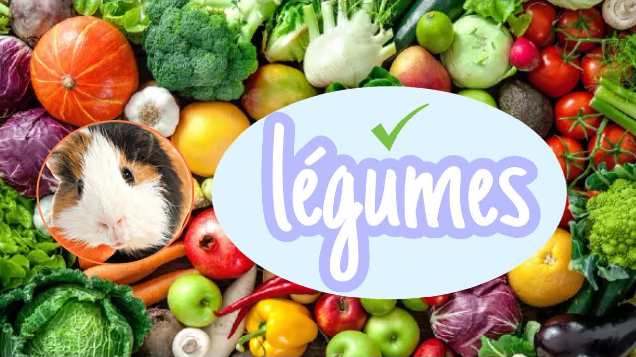 Les légumes autorisés aux cochons d'Inde (+fréquence)