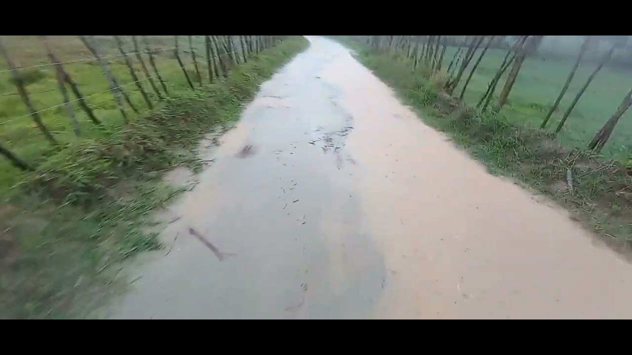 MANHÃ DO DOMINGÃO CHUVOSA. AQUI NA ZONA RURAL DE SERRA REDONDA PARAIBA.