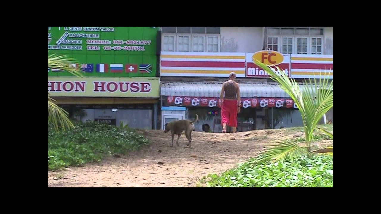 HalfwayHouse TENDER LOVING CARE FOR STRAY DOGS - Goldie Karon Beach