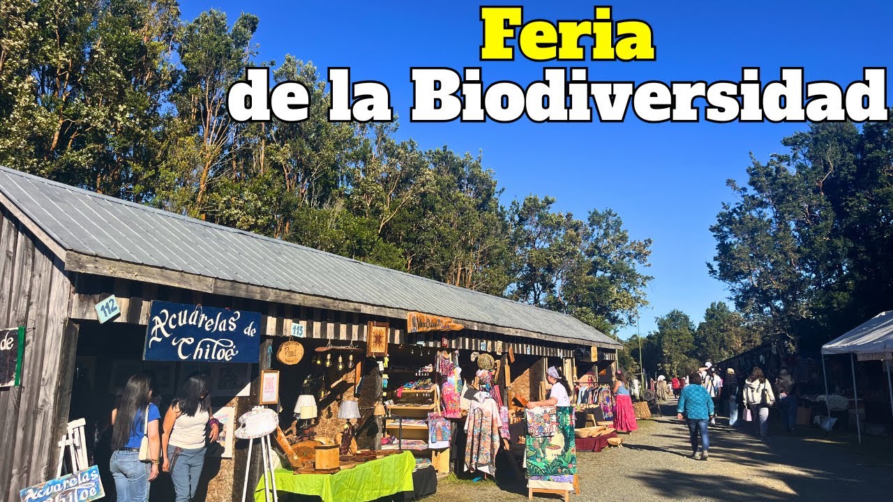 Nueva versión de la FERIA DE LA BIODIVERSIDAD en Castro 🌱👨‍🎨🍖🌳 