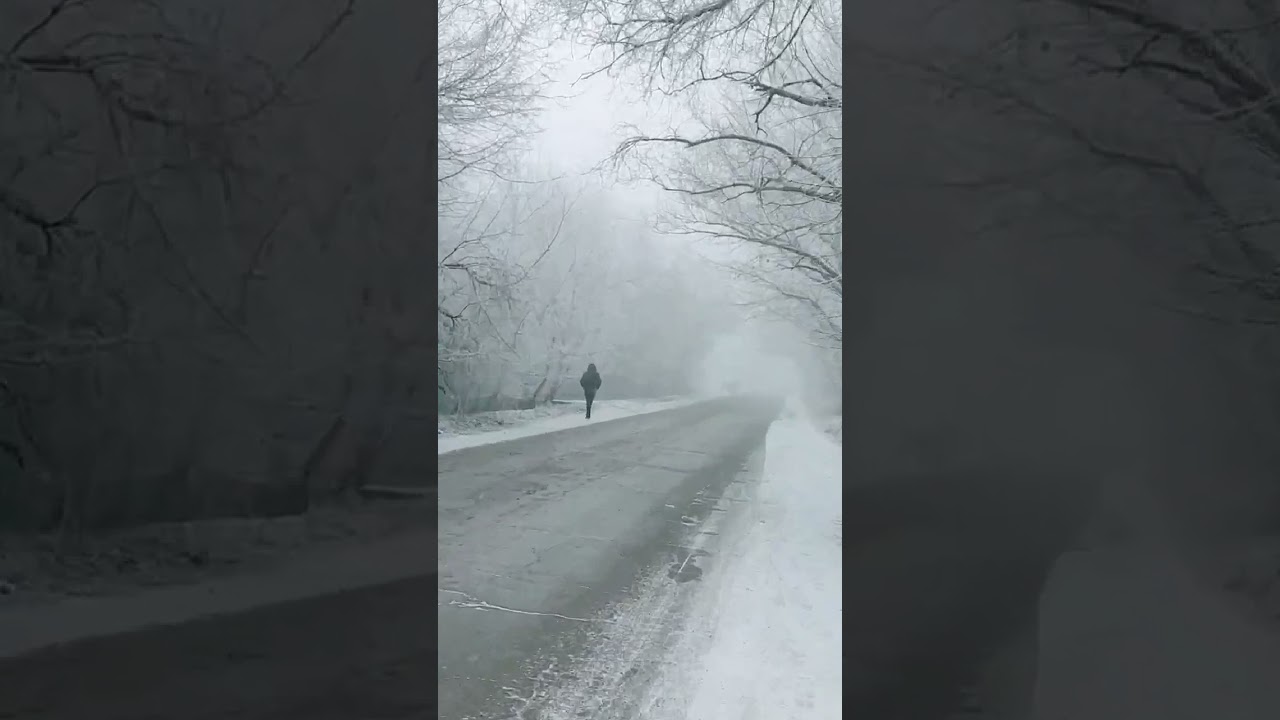 Snow fog -15&deg;C Morning class ❄️🥶 #snow #fog #haze #morningclass #azmi #group