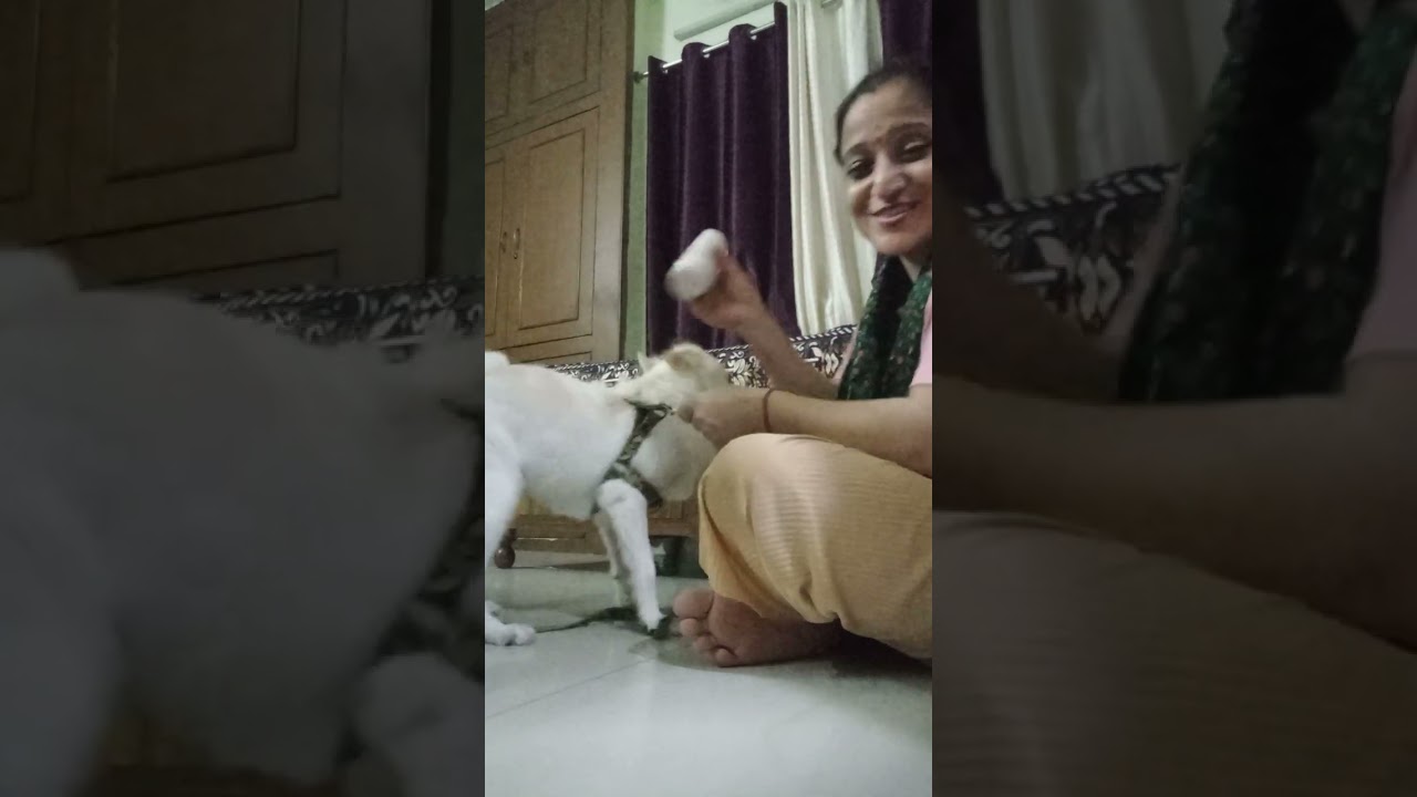 Meri aur Chiku Ki Masti.  🤪🤪🤪
