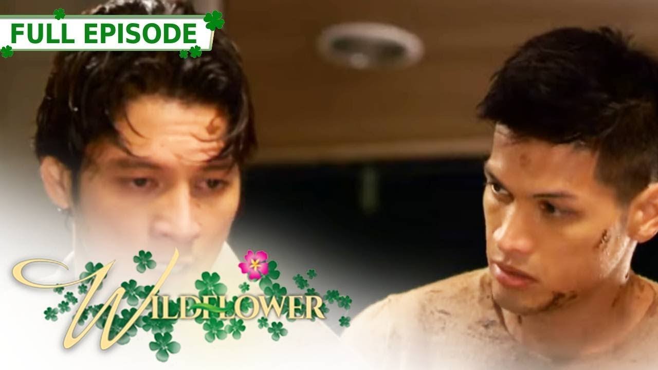 Full Episode 163 | Wildflower with ENG SUB | Maja Salvador, Joseph Marco, RK Bagatsing