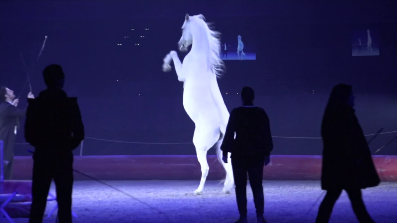 Last CSI Zurich Horse Show ...Circus Knie Switzerland