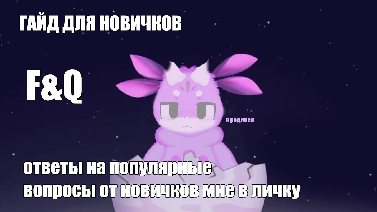 Общий гайд для новичков в Dragon Adventures