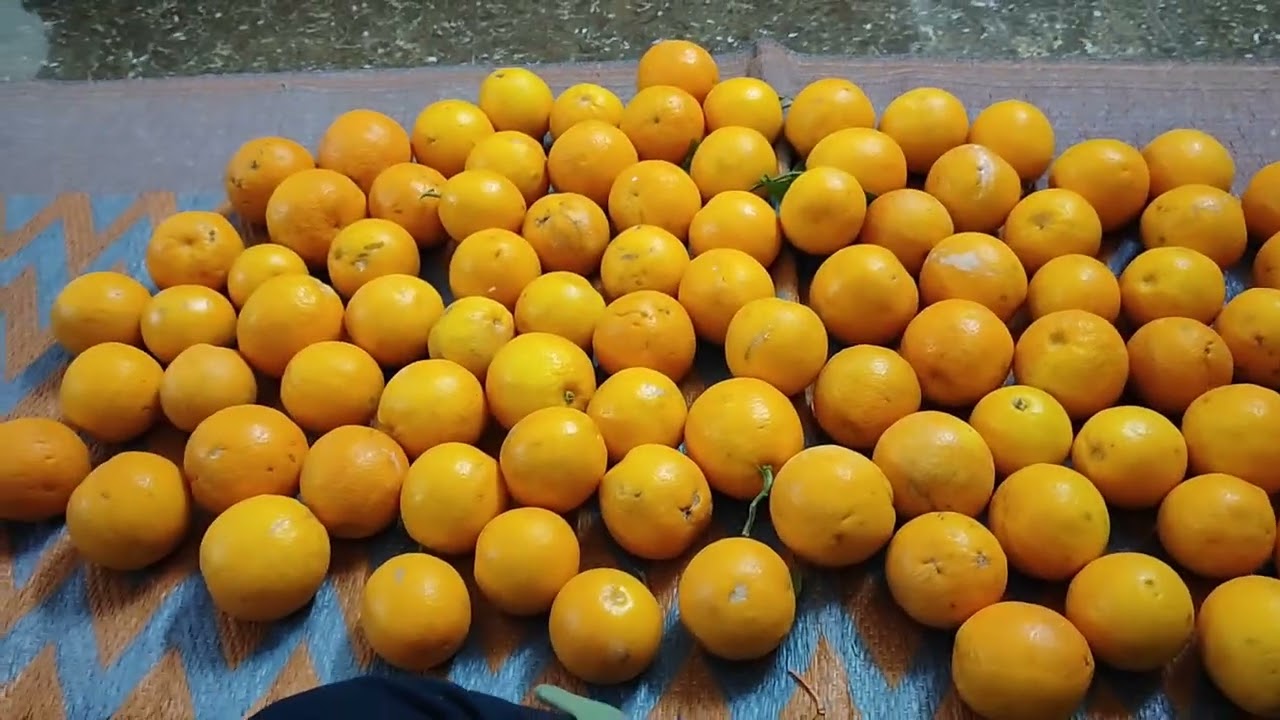 मेरे पति आये गांव से🙏🙏🌺🌺❤️❤️🎉🎉पिलीज  प्यारे भाई बहिन लाईक सबसक्राईब कमैंट्स🙏🙏❤️❤️❤️❤️🎉🎉