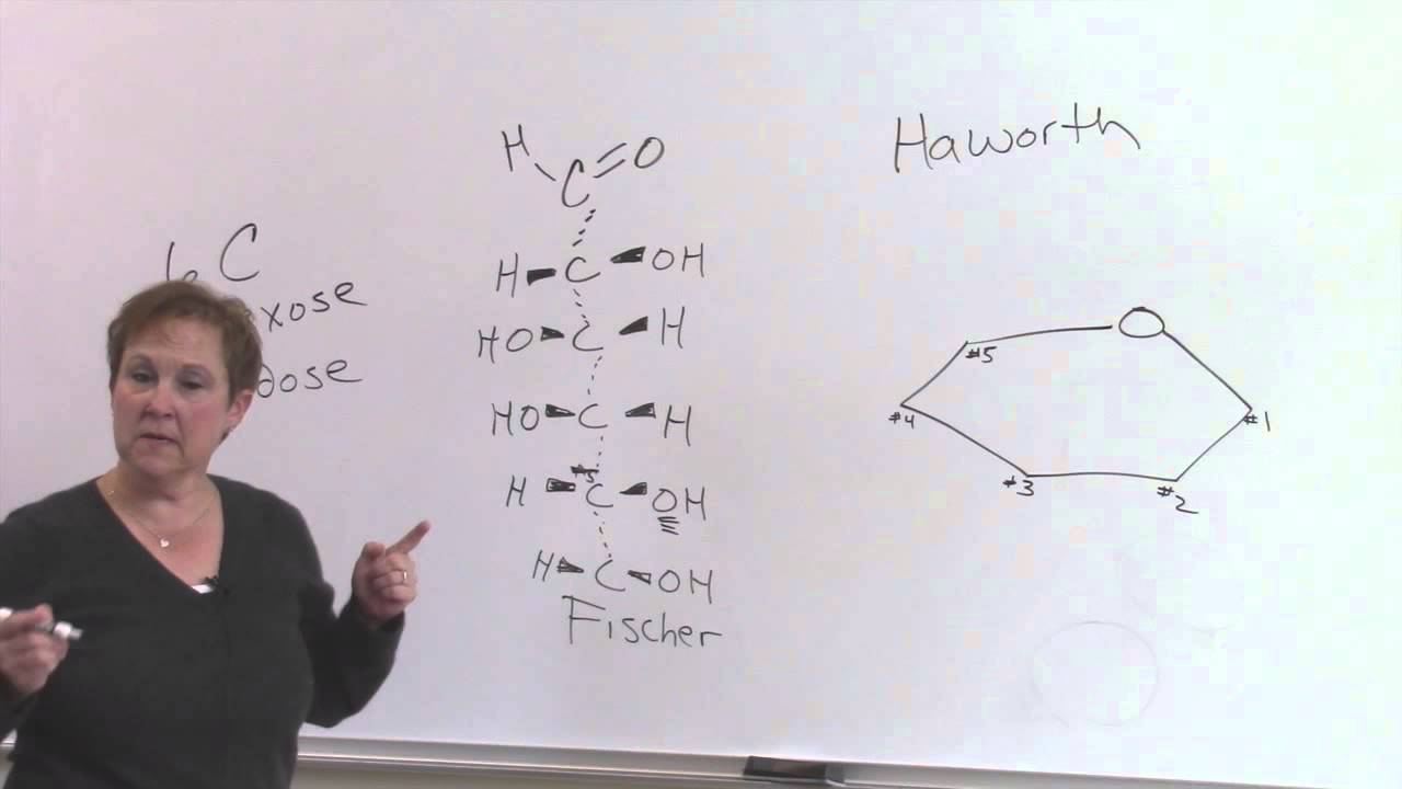 Fischer to Haworth projection HD 720p
