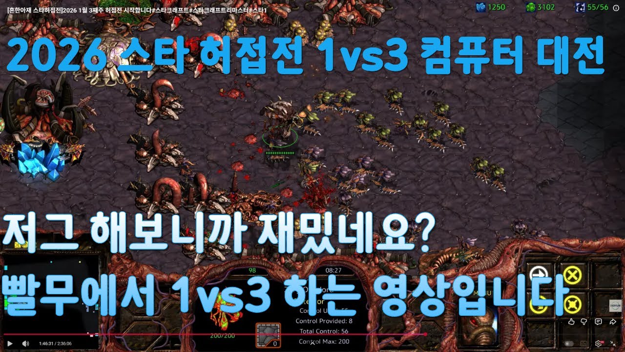 [흔한아재 스타허접전]2026 1월 3째주 허접전 시작합니다#스타크래프트#스타크래프트리마스터#스타1
