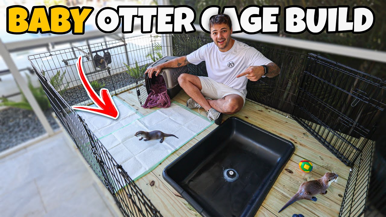 Building Mini Enclosure for My BABY OTTER!!