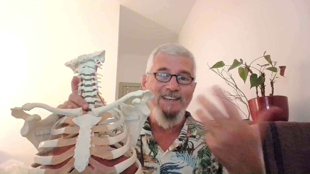 Vías para la sensorialidad respiratoria 2