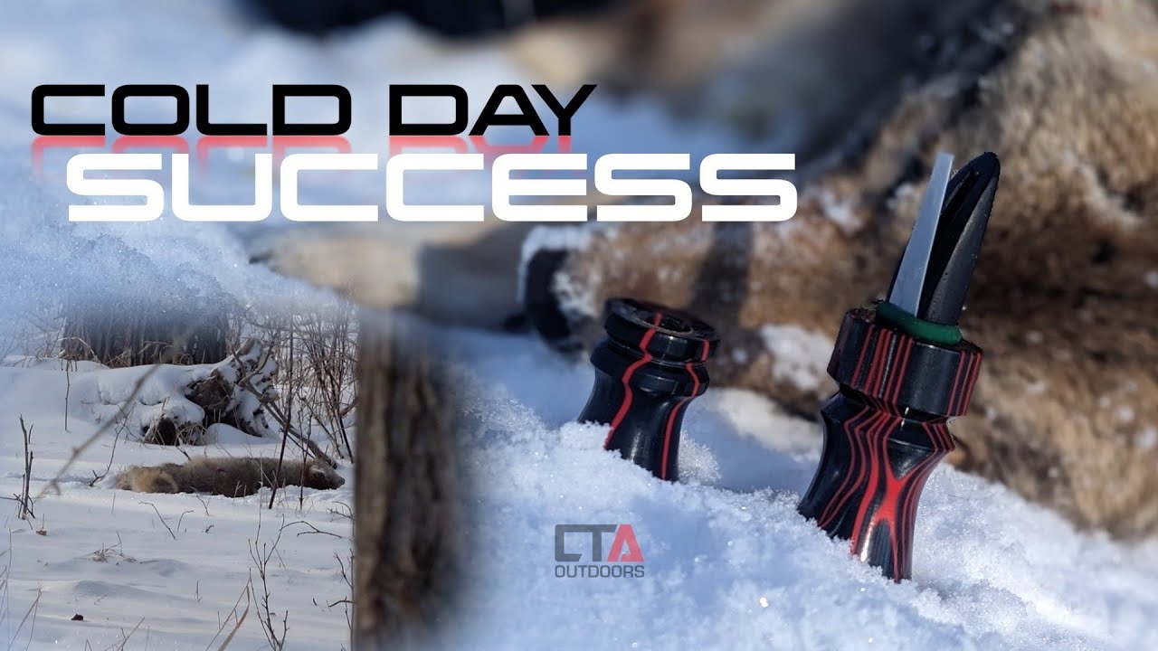 COLD DAY SUCCESS Hand Calling Coyotes