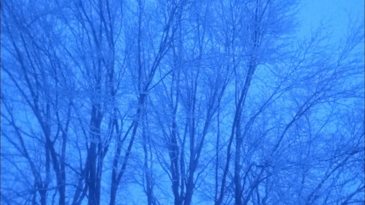 Zimno zimno ❄️❄️🌨️