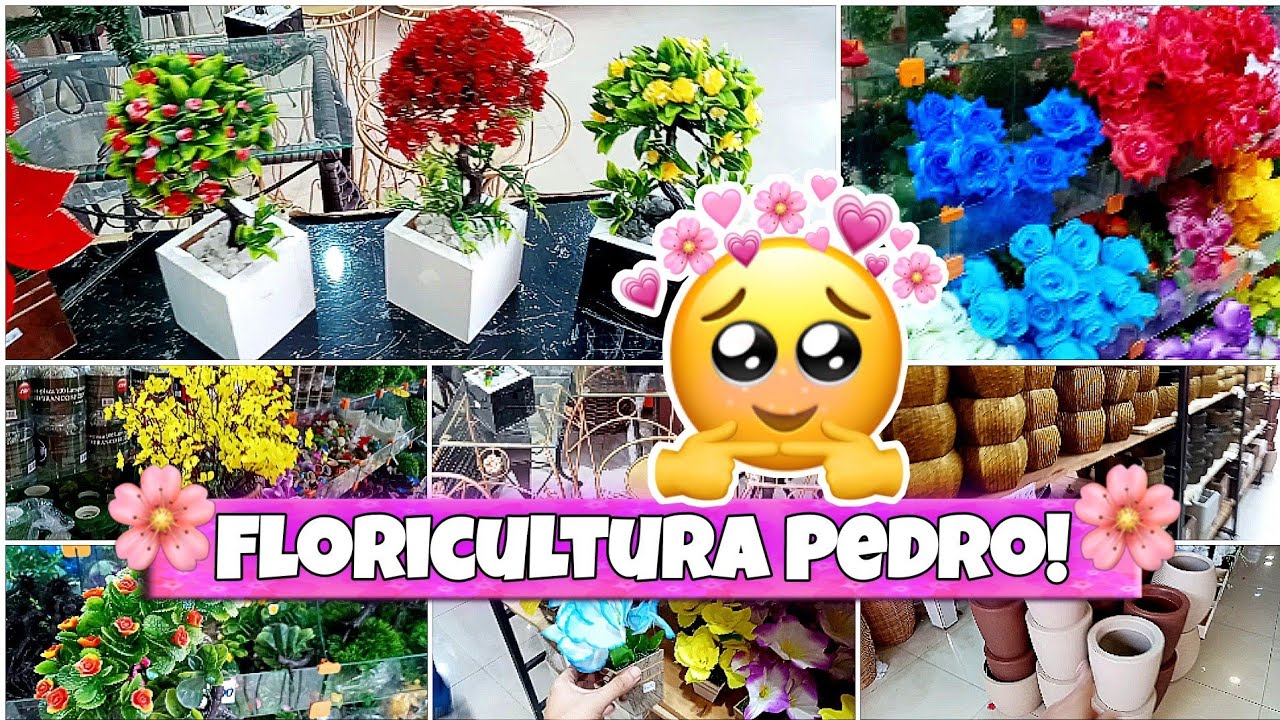 TOUR PELA FLORICULTURA PEDRO| FLORES E ARRANJOS LINDOS - RECIFE/PE