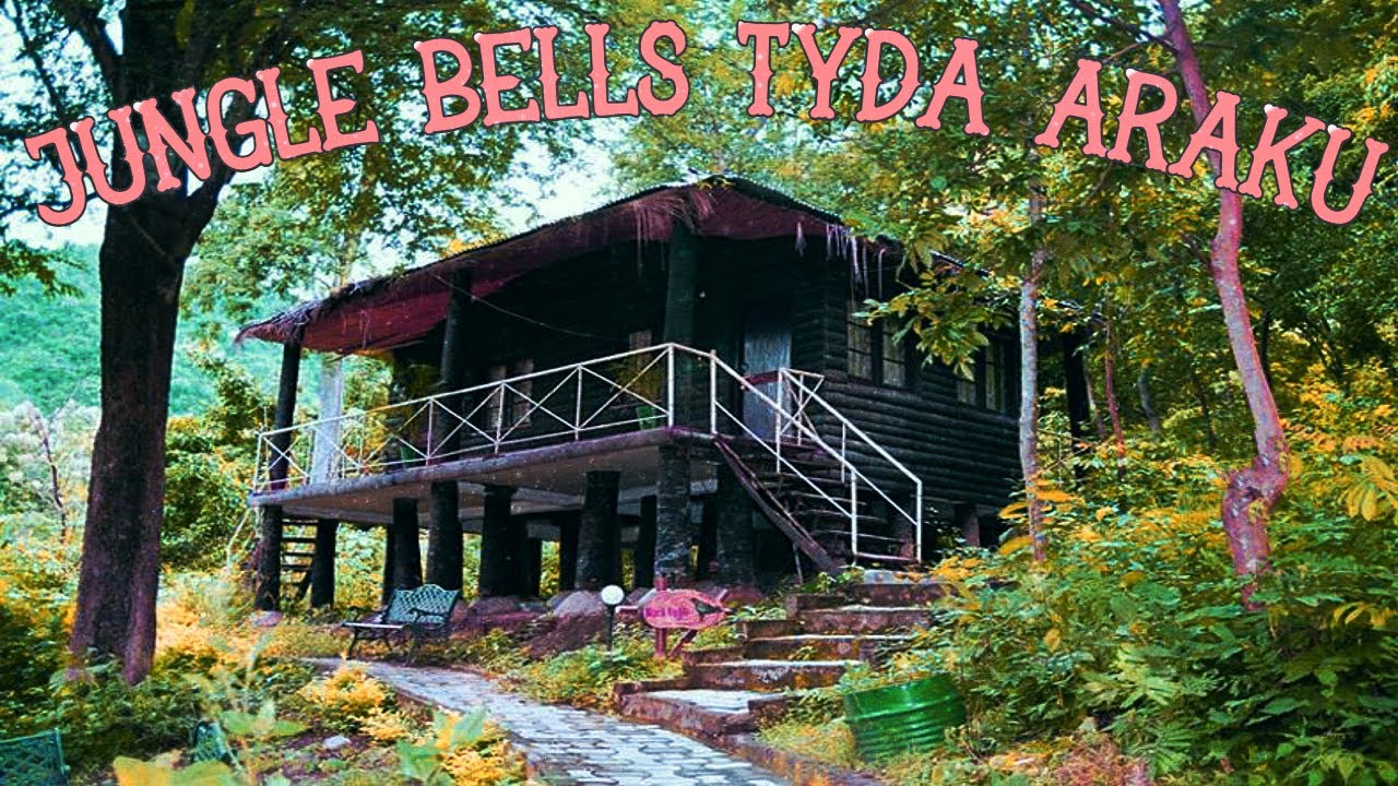 Best Jungle stay in Tyda ( Araku ) in 4K | Jungle Bells Nature Camp | Wooden cottages accommodation