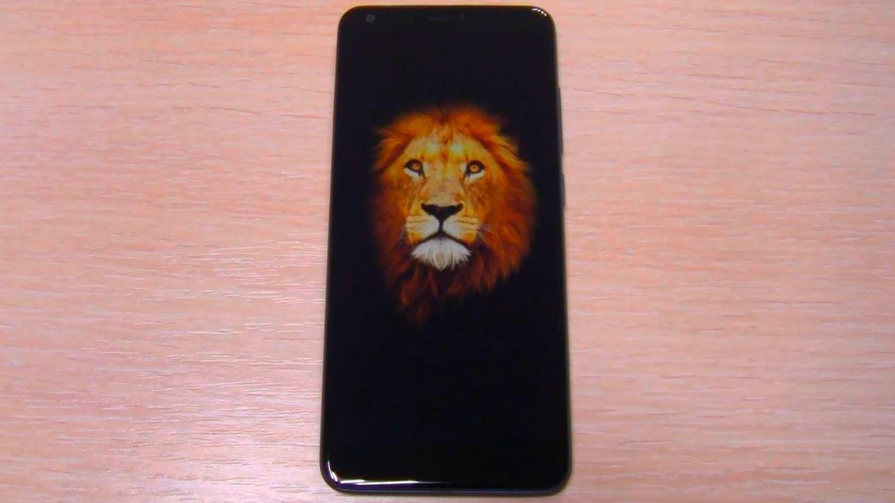 ZTE Blade V9 Vita Bootanimation