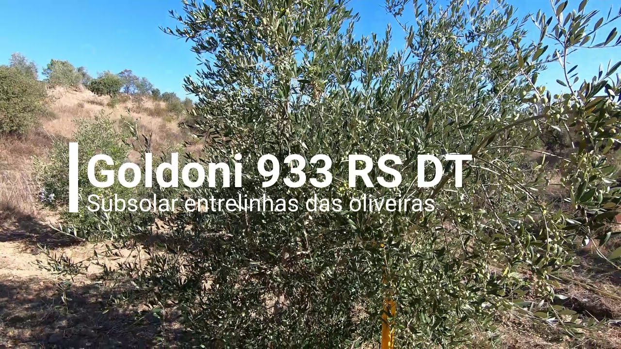 Goldoni 933 RS DT | Subsolar entrelinhas para melhor infiltração da água...