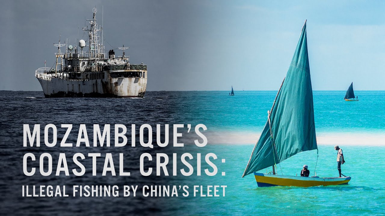 Mozambique's Coastal Crisis: Illegal fishing by China's fleet – an EJF film