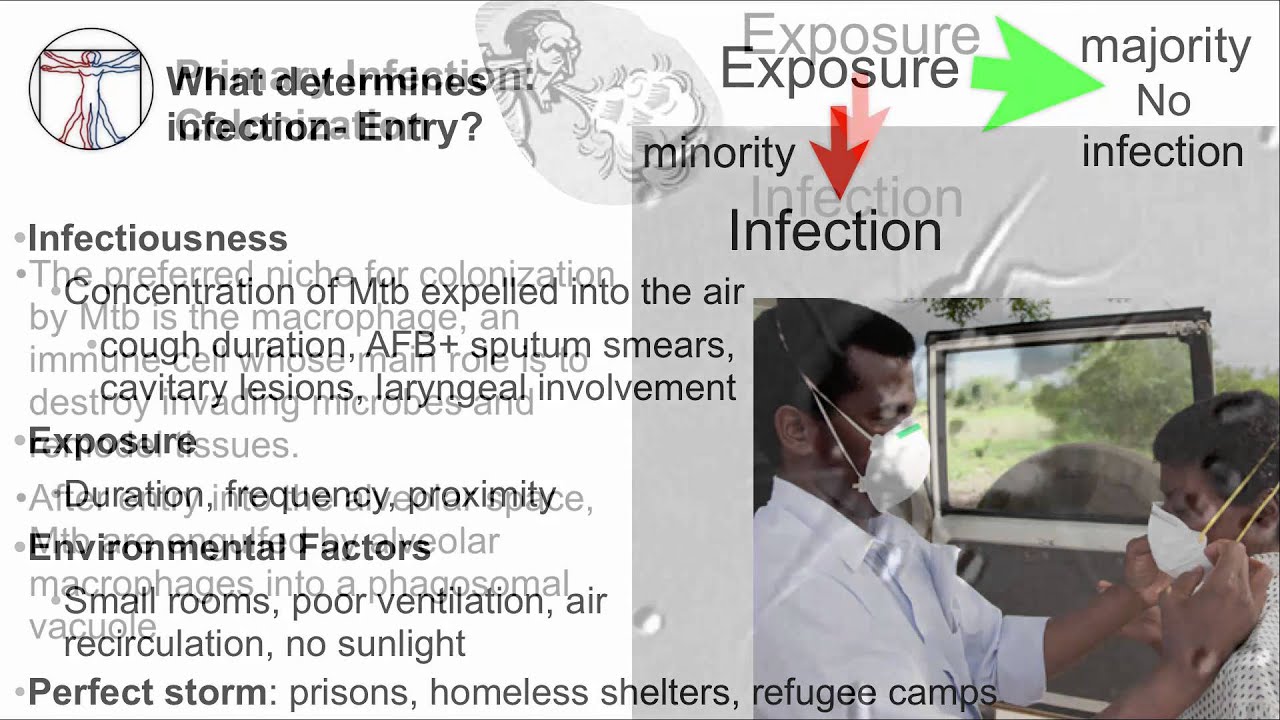 Tuberculosis: Infection & Disease Part 1