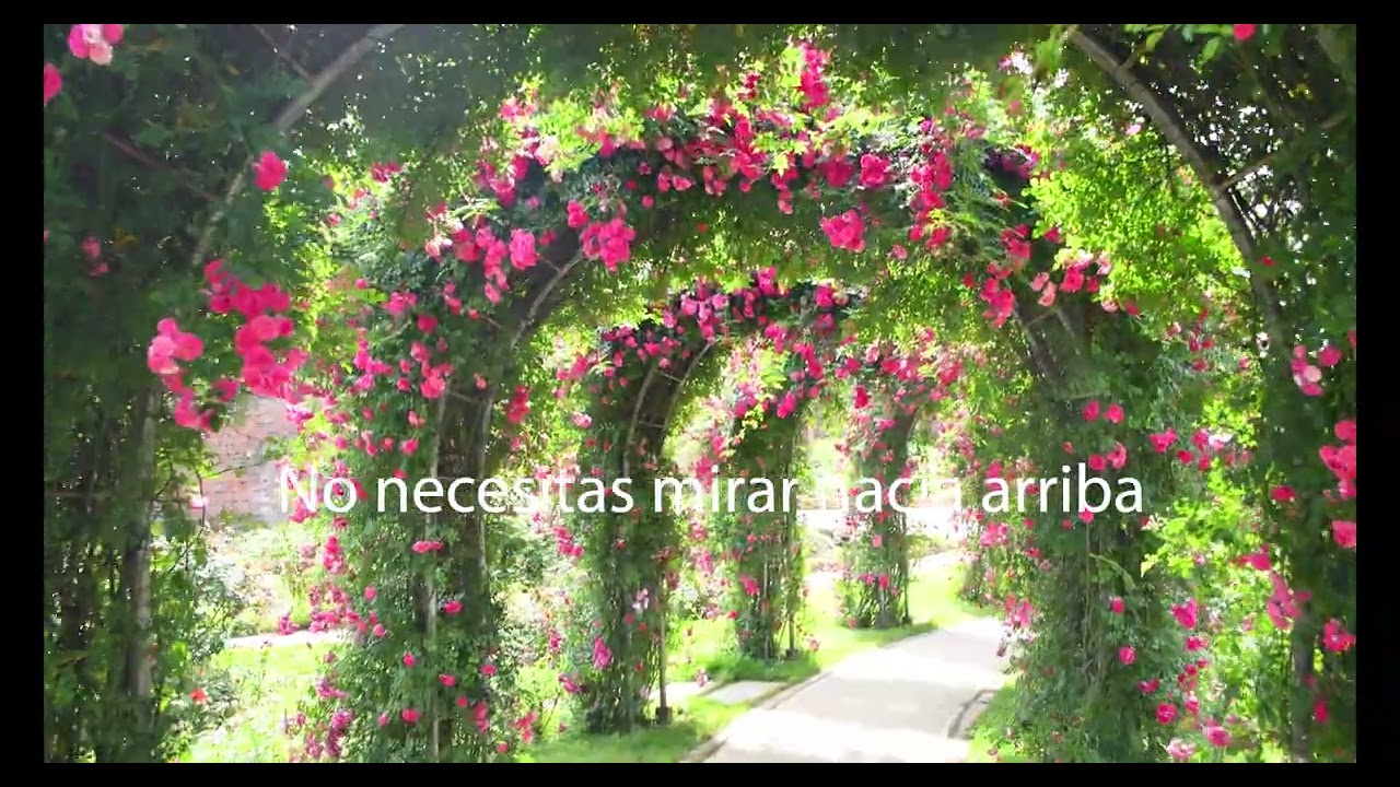 No Te Preocupes