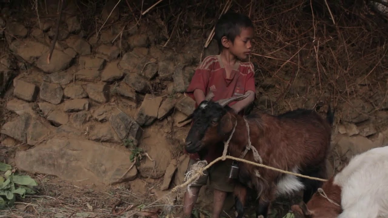 Traditional farming style in Asian village