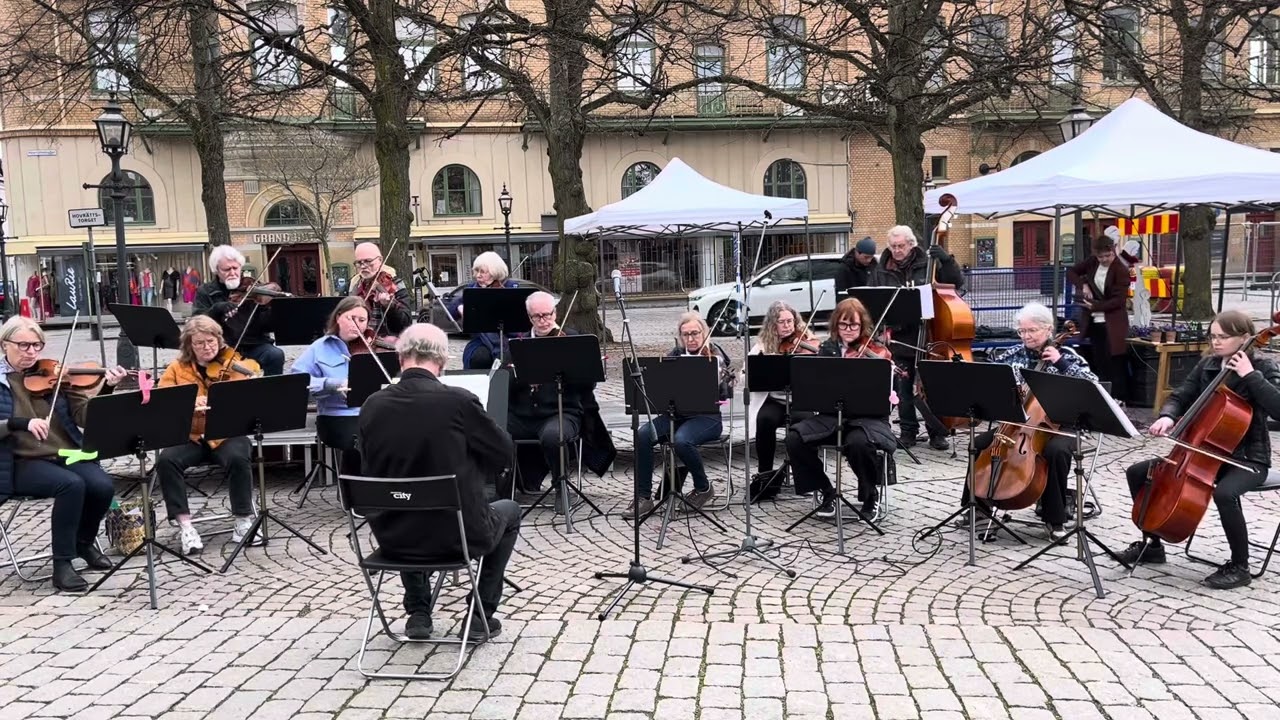 Les branles des chevaux