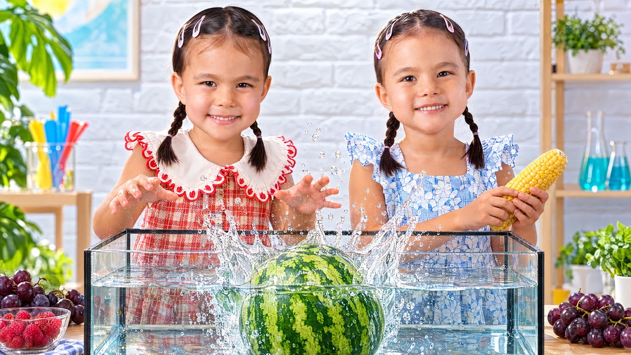 Sink or Float with Twin Twin | Fun Science Experiment for Kids