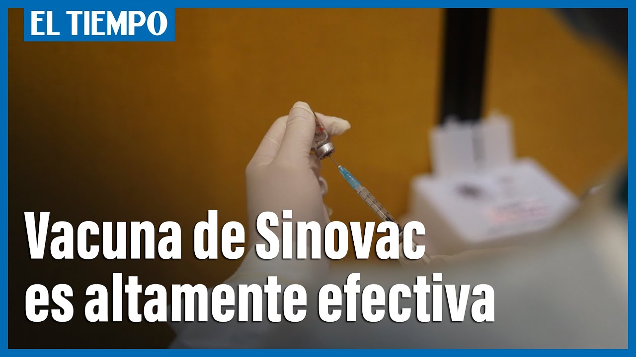 Vacuna de Sinovac es altamente efectiva, según estudio | El Tiempo