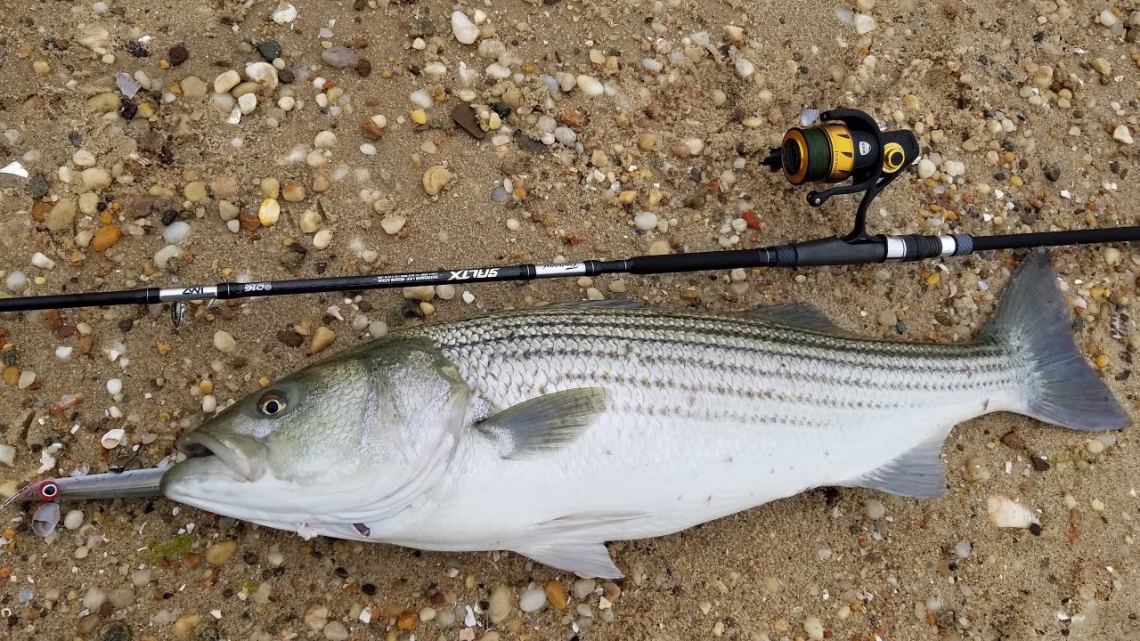 Stormy Beach Striper Fishing and SaltX Rod Review!