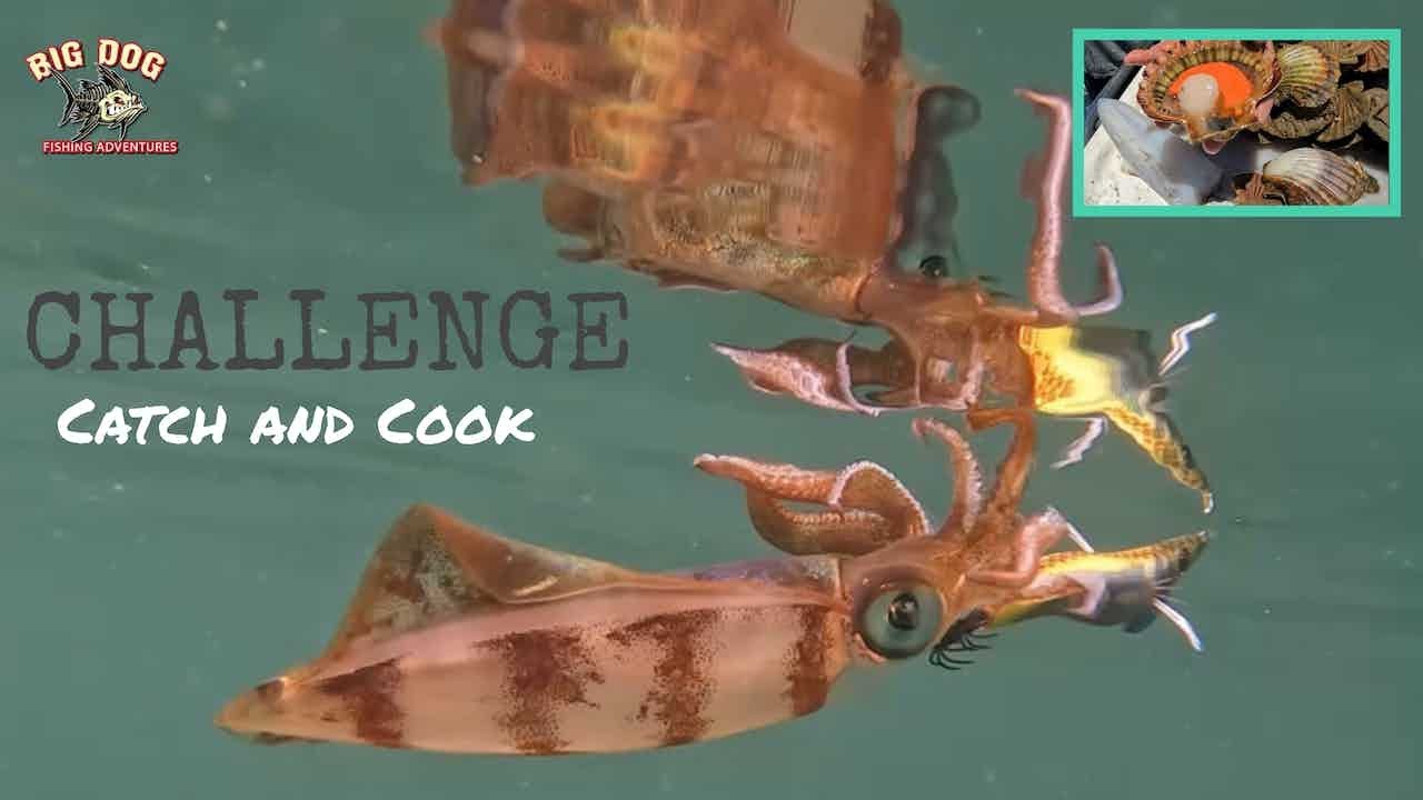 CHALLENGE ACCEPTED! Catch and cook survival session.