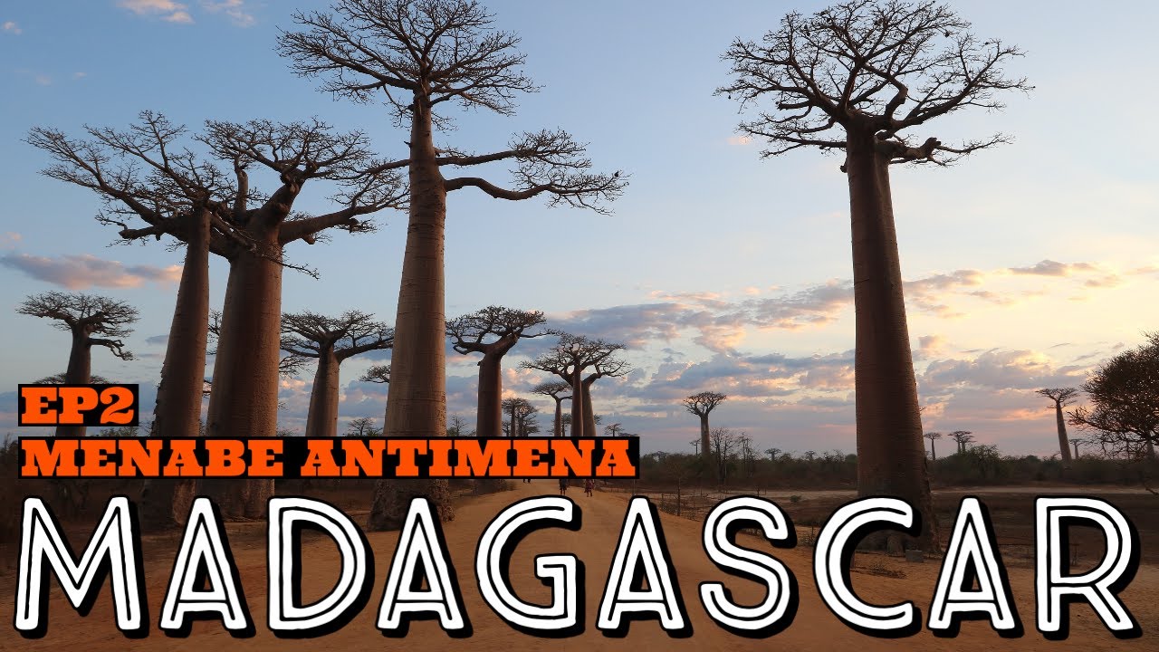 MENABE ANTIMENA, Madagascar