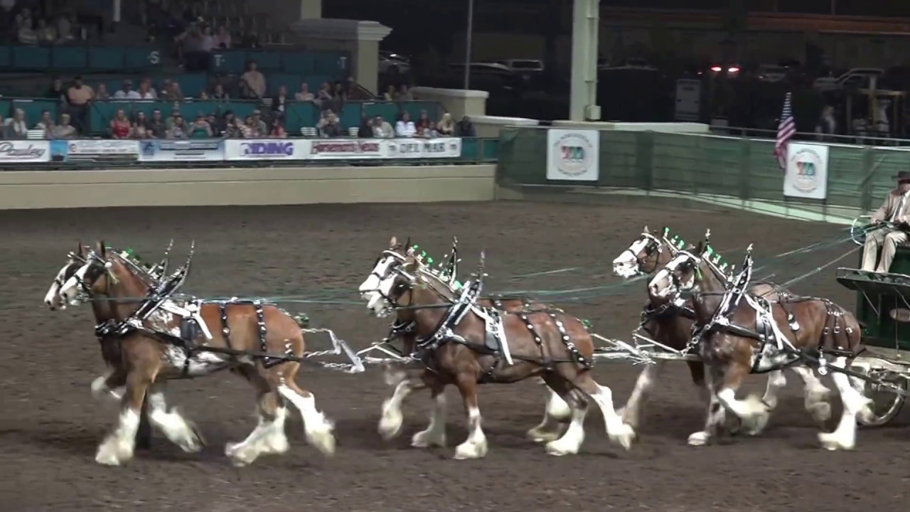 Popoff Clydesdales - Night of the Horse 2017 - Del Mar National Horse Show
