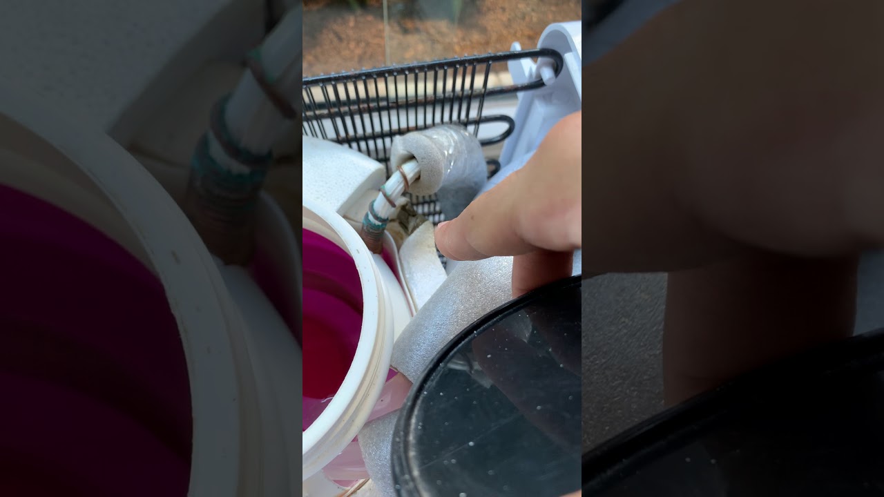 Chiller DIY de filtro d’água para aquário nano