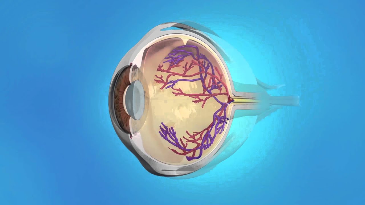 Medication Injections for ROP