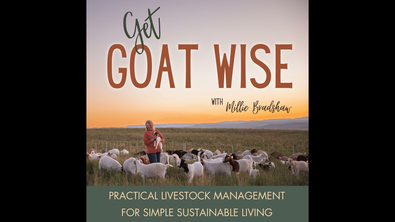 91 | Seasonal Planning for Livestock: How We Plan a Ranch Year Without Burning Out