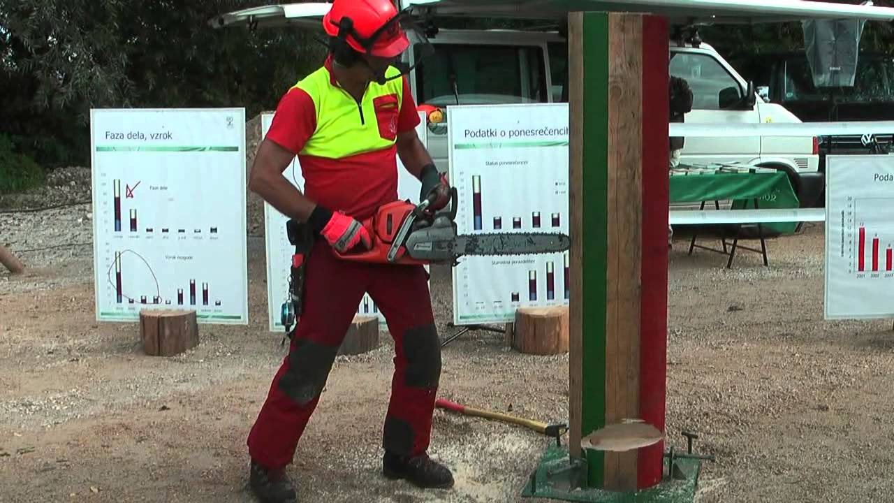 Varno delo v gozdu - podiranje drevesa